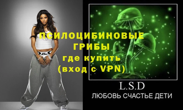 метадон Вяземский