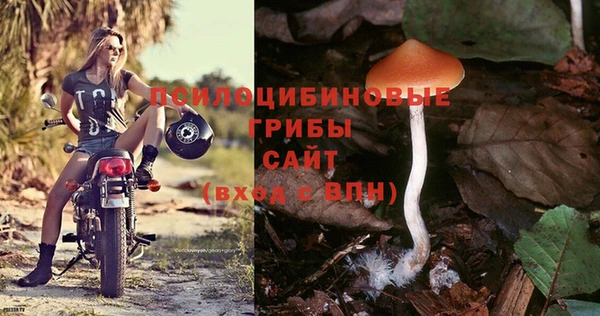 первитин Вязьма